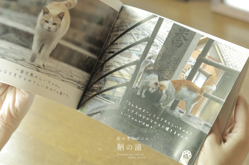 廣島住宿推薦｜崖上猫の宿～鞆之浦有貓咪的民宿～鞆猫庵 - OREO時光旅行