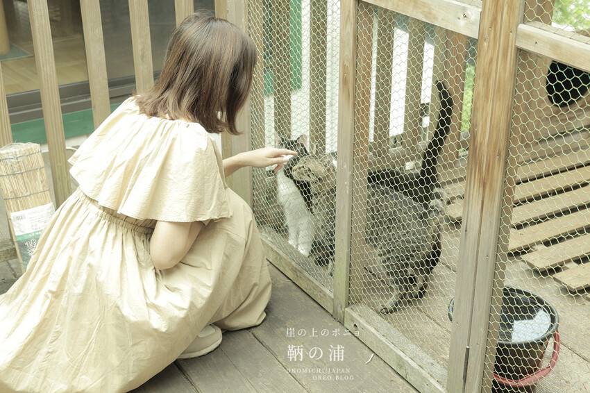 廣島住宿推薦｜崖上猫の宿～鞆之浦有貓咪的民宿～鞆猫庵 - OREO時光旅行