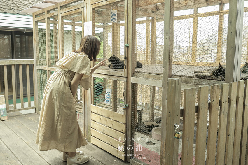廣島住宿推薦｜崖上猫の宿～鞆之浦有貓咪的民宿～鞆猫庵 - OREO時光旅行