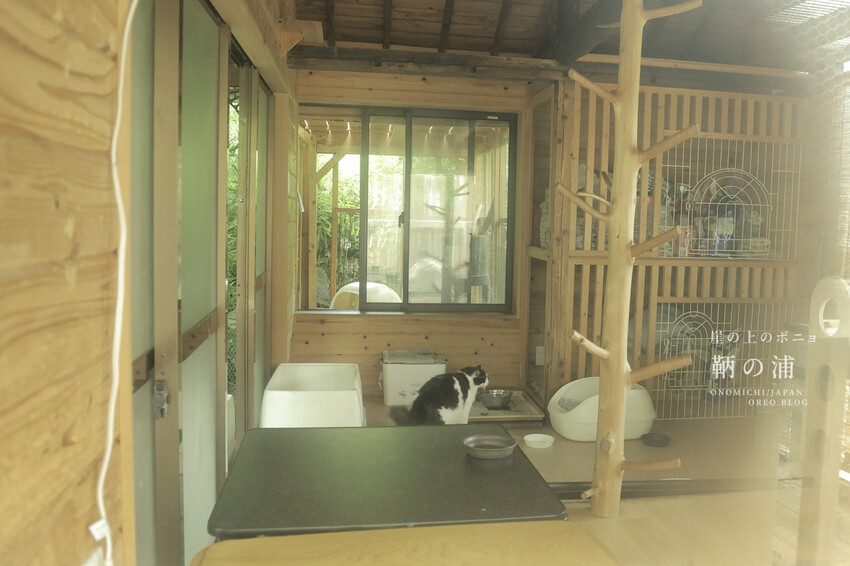 廣島住宿推薦｜崖上猫の宿～鞆之浦有貓咪的民宿～鞆猫庵 - OREO時光旅行