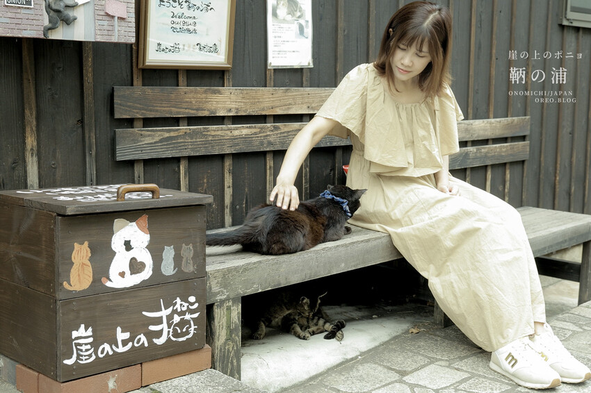廣島住宿推薦｜崖上猫の宿～鞆之浦有貓咪的民宿～鞆猫庵 - OREO時光旅行