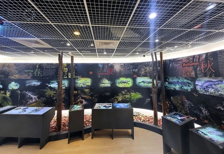 山椒魚生態中心 山椒魚生態中心