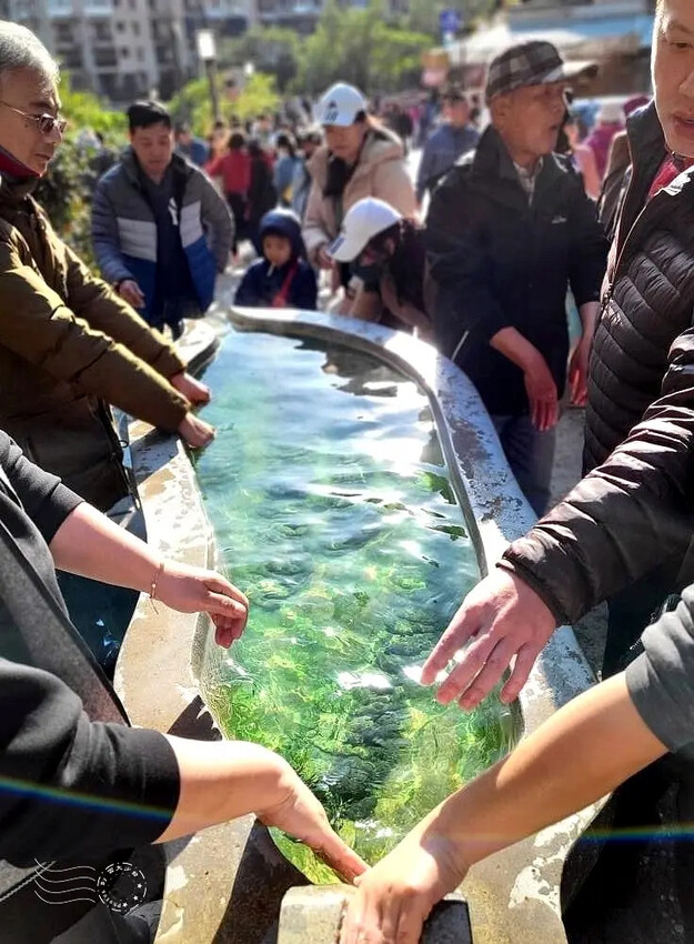 台北市北投區大年初一北投溫泉鄉漫步:【地熱谷公園】,療癒淨手礦泉湯、溫泉蛋體驗