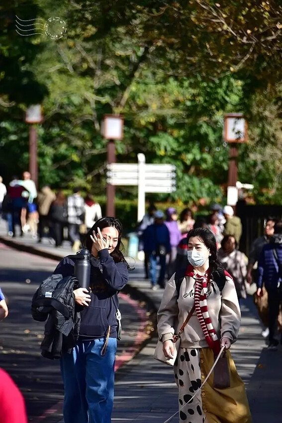 台北市北投區大年初一北投溫泉鄉漫步:【地熱谷公園】,療癒淨手礦泉湯、溫泉蛋體驗