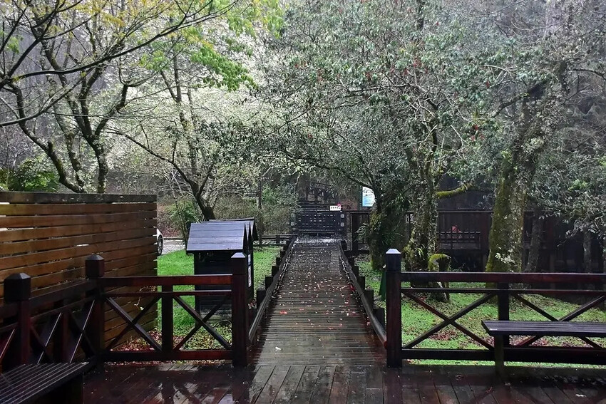 雲霧步道入口 雲霧步道入口