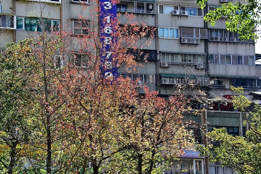 台北市北投區大年初一北投溫泉鄉漫步:【地熱谷公園】,療癒淨手礦泉湯、溫泉蛋體驗