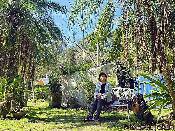 春天農場12-綠蔭下休憩.jpg 春天農場12-綠蔭下休憩.jpg