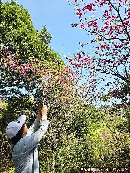 春天農場18-拍拍拍.jpg 春天農場18-拍拍拍.jpg