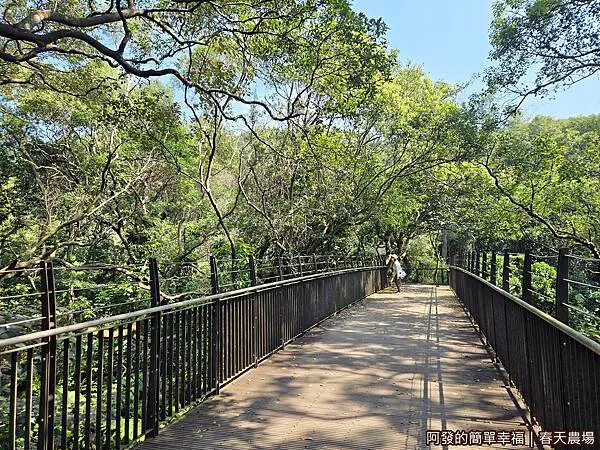 春天農場21-溪溝綠廊高架木棧道.jpg 春天農場21-溪溝綠廊高架木棧道.jpg