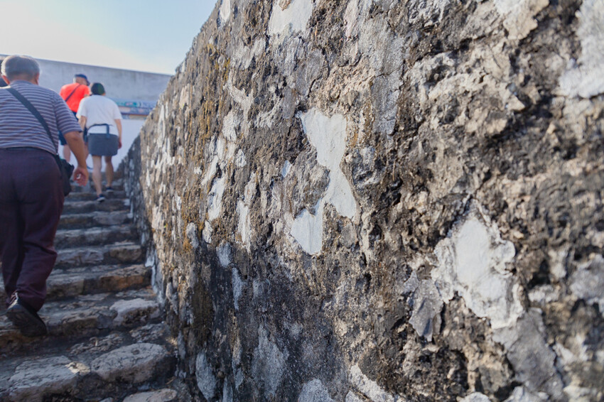 高雄市左營區蓮池潭觀光商圈  x 商圈漫伴拍走讀活動 | 龍虎塔下尋幽訪勝，攝影x美食x文化之