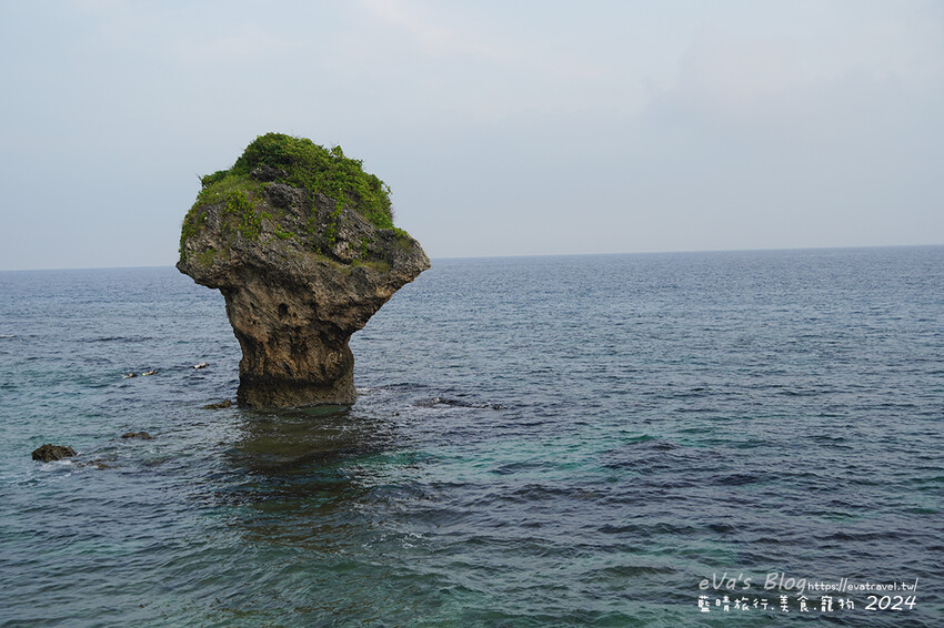 【小琉球景點】花瓶岩是一塊隆起的珊瑚礁石,長期受海水的侵蝕,形狀酷似一個巨大的花瓶,你(妳)覺得花瓶岩看起來像花瓶嗎?我覺得像綠花椰菜、駝鳥、火雞。小琉球旅行