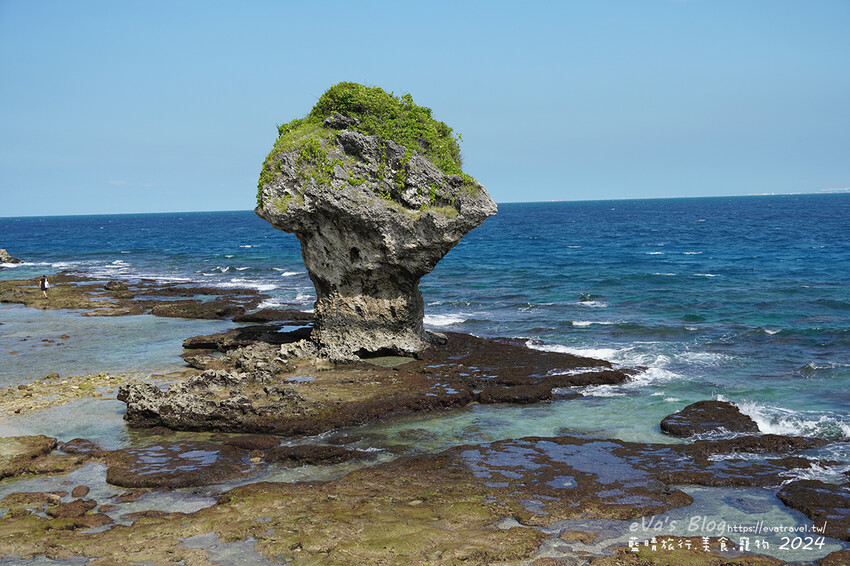 【小琉球景點】花瓶岩是一塊隆起的珊瑚礁石,長期受海水的侵蝕,形狀酷似一個巨大的花瓶,你(妳)覺得花瓶岩看起來像花瓶嗎?我覺得像綠花椰菜、駝鳥、火雞。小琉球旅行
