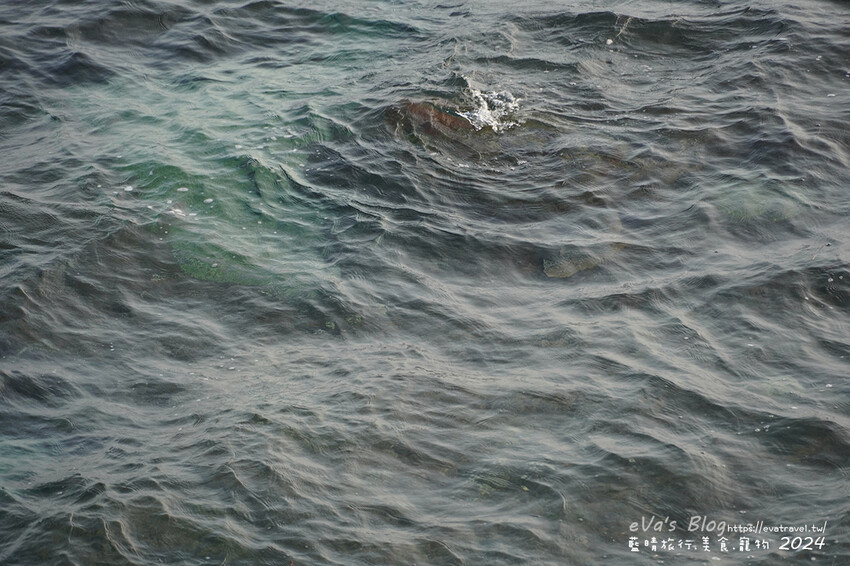 【小琉球景點】花瓶岩是一塊隆起的珊瑚礁石,長期受海水的侵蝕,形狀酷似一個巨大的花瓶,你(妳)覺得花瓶岩看起來像花瓶嗎?我覺得像綠花椰菜、駝鳥、火雞。小琉球旅行