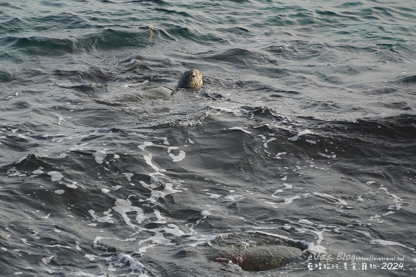 【小琉球景點】花瓶岩是一塊隆起的珊瑚礁石,長期受海水的侵蝕,形狀酷似一個巨大的花瓶,你(妳)覺得花瓶岩看起來像花瓶嗎?我覺得像綠花椰菜、駝鳥、火雞。小琉球旅行