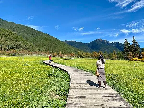 台中市和平區[台中景點] 梨山福壽山農場+武陵農場+武陵富野渡假村 台中兩天一夜懶人包 楓葉/落雨松/猴子吃油菜花 @蛋寶