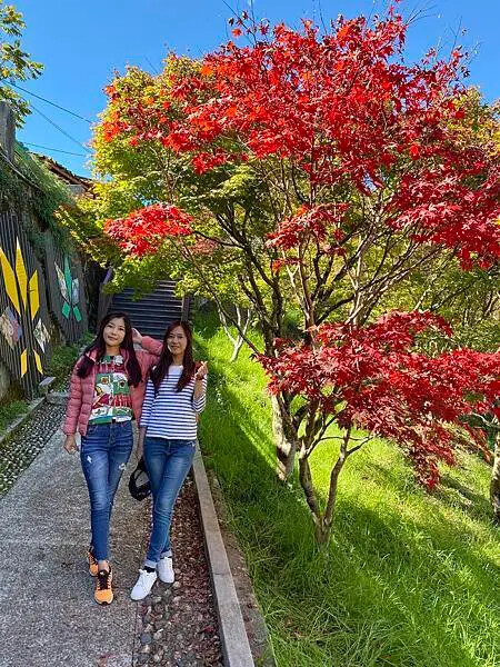 台中市和平區[台中景點] 梨山福壽山農場+武陵農場+武陵富野渡假村 台中兩天一夜懶人包 楓葉/落雨松/猴子吃油菜花 @蛋寶