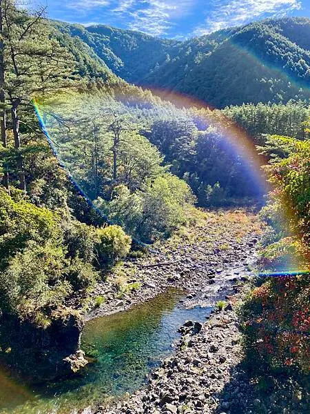 台中市和平區[台中景點] 梨山福壽山農場+武陵農場+武陵富野渡假村 台中兩天一夜懶人包 楓葉/落雨松/猴子吃油菜花 @蛋寶