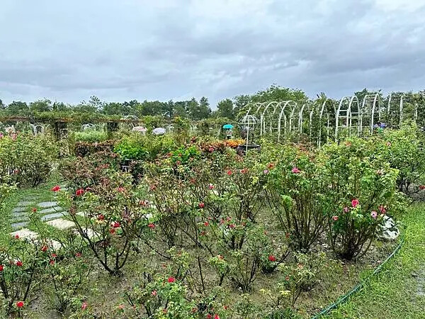 台南市後壁區[台南後壁景點] 雅聞湖濱療癒森林  全台首創的療癒森林花園 @蛋寶趴趴go