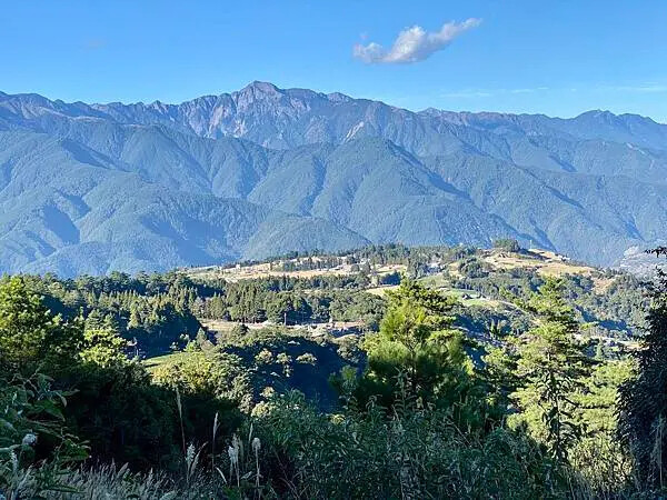 台中市和平區[台中景點] 梨山福壽山農場+武陵農場+武陵富野渡假村 台中兩天一夜懶人包 楓葉/落雨松/猴子吃油菜花 @蛋寶
