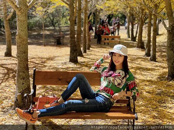 台中市和平區[台中景點] 梨山福壽山農場+武陵農場+武陵富野渡假村 台中兩天一夜懶人包 楓葉/落雨松/猴子吃油菜花 @蛋寶