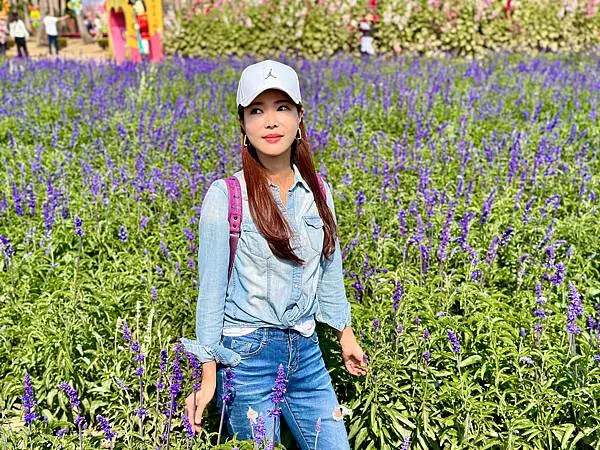 台南市學甲區[台南景點] 台南學甲蜀葵花 徜徉花海 賞花活動 交通方式 #台南旅遊 學甲景點 台南景點推薦 @蛋寶趴趴go