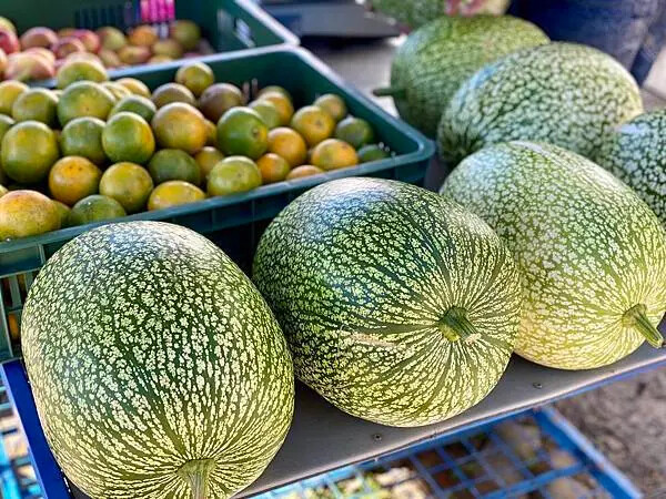 台中市和平區[台中景點] 梨山福壽山農場+武陵農場+武陵富野渡假村 台中兩天一夜懶人包 楓葉/落雨松/猴子吃油菜花 @蛋寶