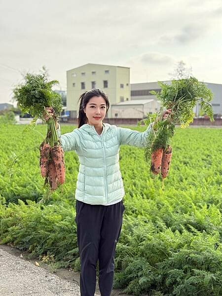 台南市將軍區[台南旅遊] 2025將軍區紅蘿蔔木棉爭鮮搶豔同樂會 #將軍木棉花道 #拔蘿蔔 @蛋寶趴趴go