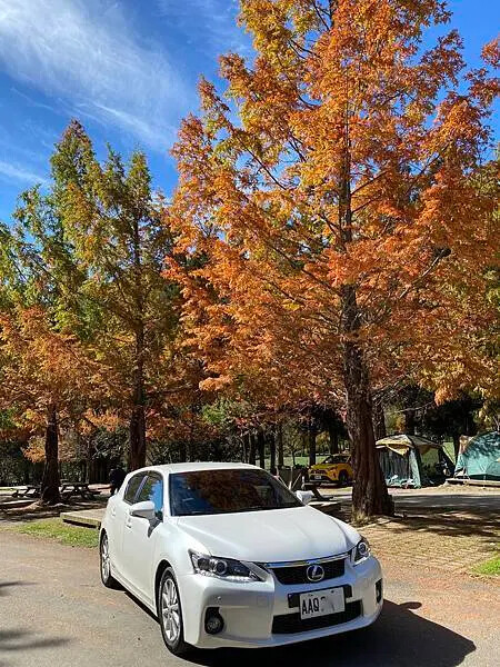 台中市和平區[台中景點] 梨山福壽山農場+武陵農場+武陵富野渡假村 台中兩天一夜懶人包 楓葉/落雨松/猴子吃油菜花 @蛋寶