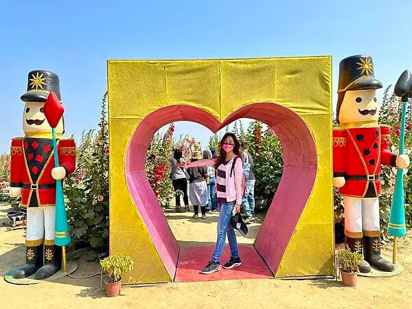 台南市學甲區[台南景點] 台南學甲蜀葵花 徜徉花海 賞花活動 交通方式 #台南旅遊 學甲景點 台南景點推薦 @蛋寶趴趴go