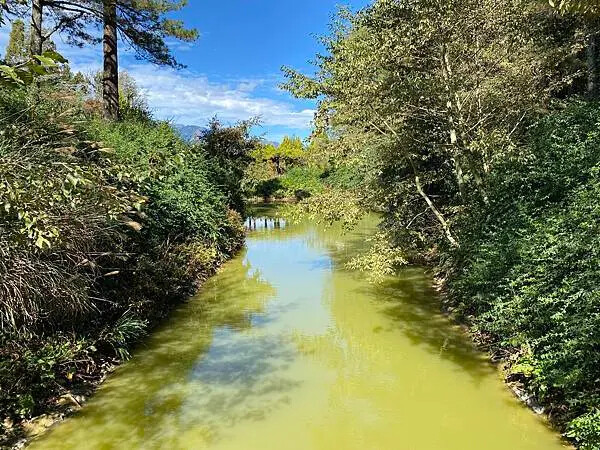 台中市和平區[台中景點] 梨山福壽山農場+武陵農場+武陵富野渡假村 台中兩天一夜懶人包 楓葉/落雨松/猴子吃油菜花 @蛋寶