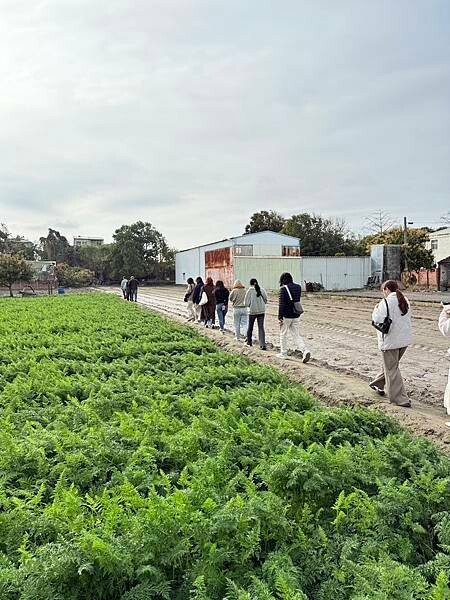 台南市將軍區[台南旅遊] 2025將軍區紅蘿蔔木棉爭鮮搶豔同樂會 #將軍木棉花道 #拔蘿蔔 @蛋寶趴趴go