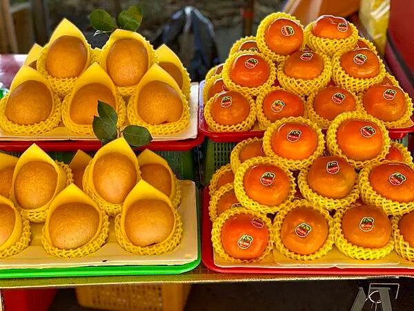 台中市和平區[台中景點] 梨山福壽山農場+武陵農場+武陵富野渡假村 台中兩天一夜懶人包 楓葉/落雨松/猴子吃油菜花 @蛋寶