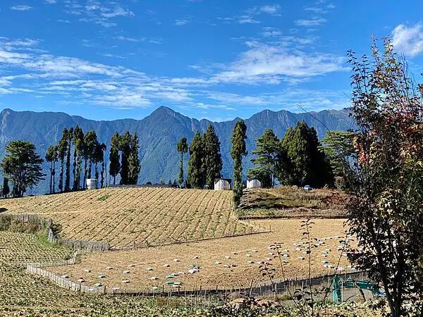 台中市和平區[台中景點] 梨山福壽山農場+武陵農場+武陵富野渡假村 台中兩天一夜懶人包 楓葉/落雨松/猴子吃油菜花 @蛋寶
