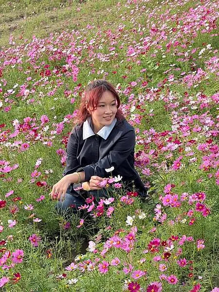 台南市將軍區[台南旅遊] 2025將軍區紅蘿蔔木棉爭鮮搶豔同樂會 #將軍木棉花道 #拔蘿蔔 @蛋寶趴趴go