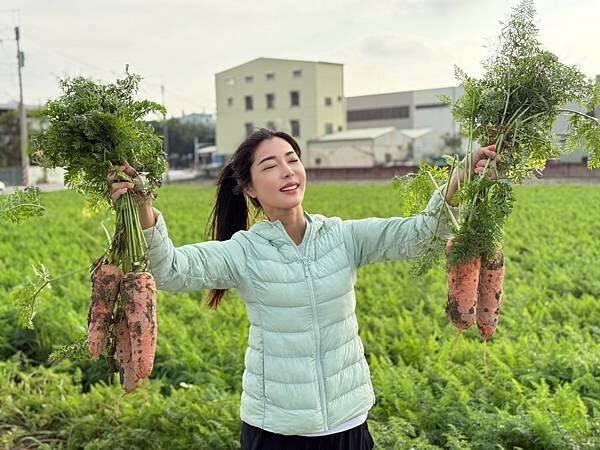 台南市將軍區[台南旅遊] 2025將軍區紅蘿蔔木棉爭鮮搶豔同樂會 #將軍木棉花道 #拔蘿蔔 @蛋寶趴趴go