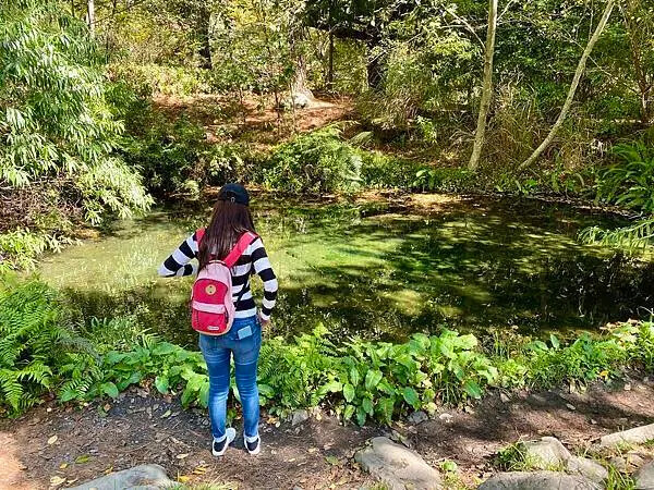 台中市和平區[台中景點] 梨山福壽山農場+武陵農場+武陵富野渡假村 台中兩天一夜懶人包 楓葉/落雨松/猴子吃油菜花 @蛋寶