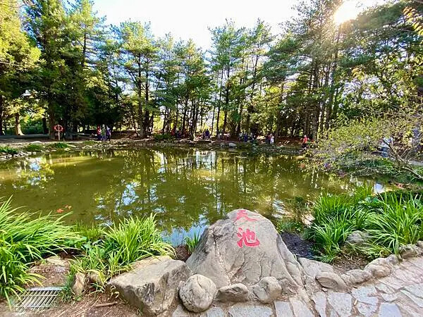 台中市和平區[台中景點] 梨山福壽山農場+武陵農場+武陵富野渡假村 台中兩天一夜懶人包 楓葉/落雨松/猴子吃油菜花 @蛋寶