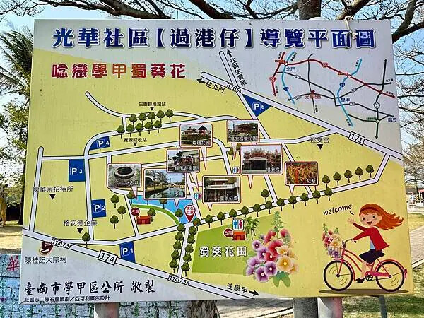 台南市學甲區[台南景點] 台南學甲蜀葵花 徜徉花海 賞花活動 交通方式 #台南旅遊 學甲景點 台南景點推薦 @蛋寶趴趴go