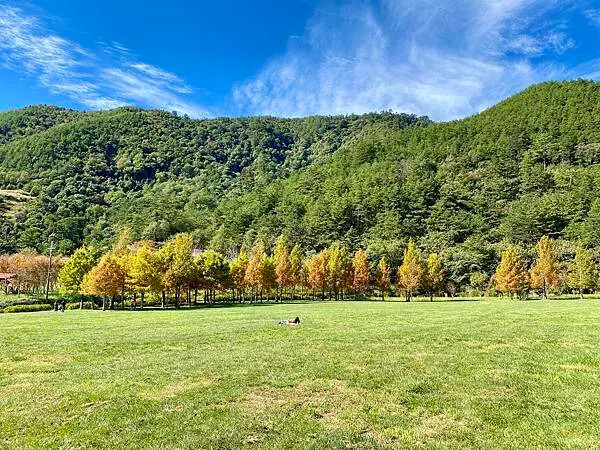 台中市和平區[台中景點] 梨山福壽山農場+武陵農場+武陵富野渡假村 台中兩天一夜懶人包 楓葉/落雨松/猴子吃油菜花 @蛋寶