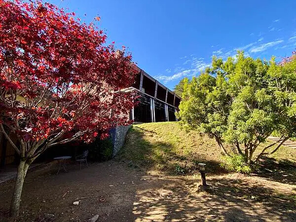 台中市和平區[台中景點] 梨山福壽山農場+武陵農場+武陵富野渡假村 台中兩天一夜懶人包 楓葉/落雨松/猴子吃油菜花 @蛋寶