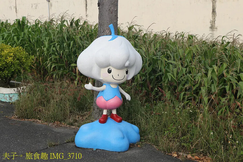 2025台南市將軍區紅蘿蔔木棉爭鮮搶艷同樂會 拔紅蘿蔔 X 