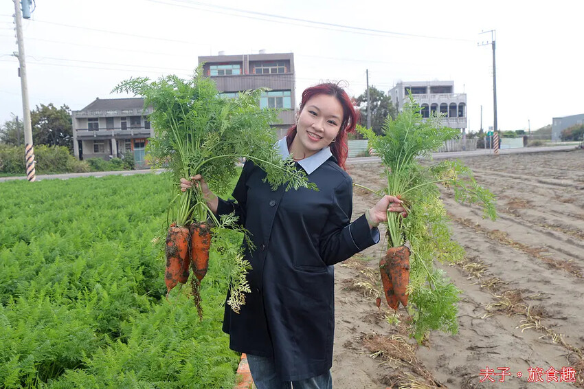 2025台南市將軍區紅蘿蔔木棉爭鮮搶艷同樂會 拔紅蘿蔔 X 