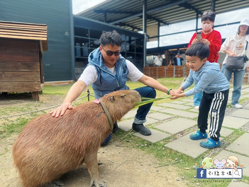 屏東縣恆春鎮親子出遊必收！《鹿境梅花鹿生態園區》最萌親子景點！零距離摸梅花鹿，還有水豚君團團包圍✨墾丁小奈良/門票優惠