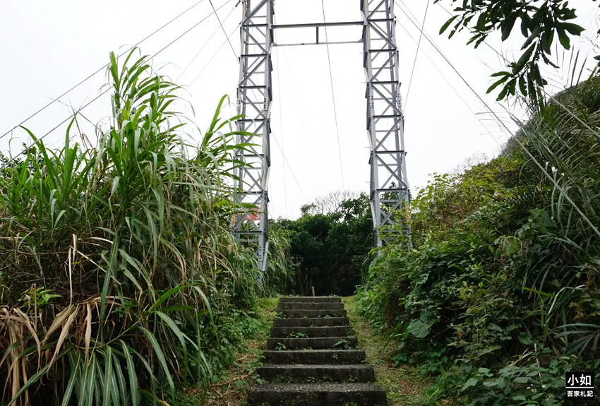 基隆市中正區【基隆步道】龍崗步道,走過槓子寮砲台,槓子寮山,三角點,大學內的步道！