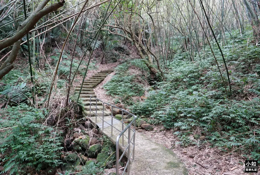 基隆市中正區【基隆步道】龍崗步道,走過槓子寮砲台,槓子寮山,三角點,大學內的步道！