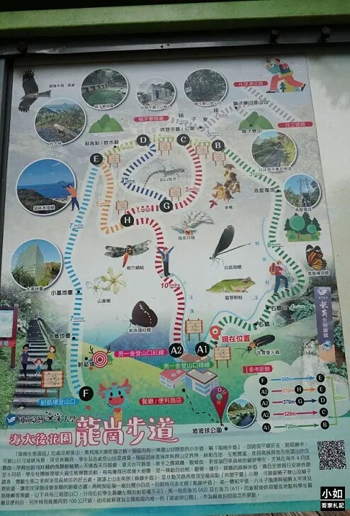 基隆市中正區【基隆步道】龍崗步道,走過槓子寮砲台,槓子寮山,三角點,大學內的步道！