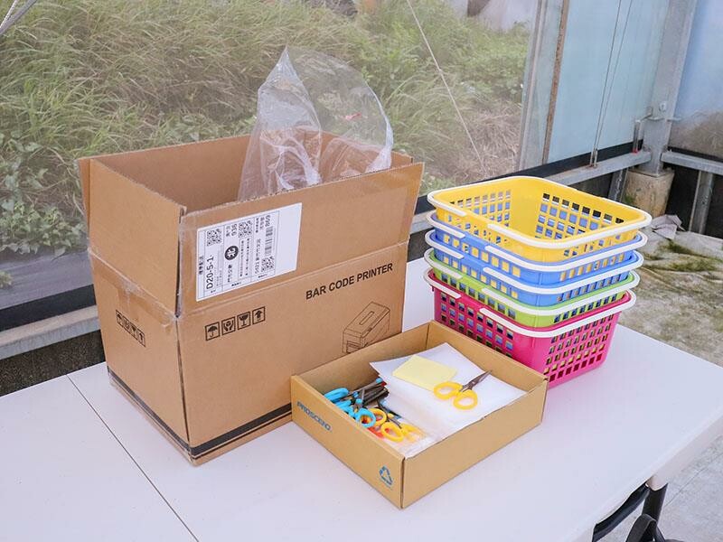 新竹寶山採草莓！菓匠農場免門票無農藥，高架種植夢幻白草莓、桃薰草莓開採。