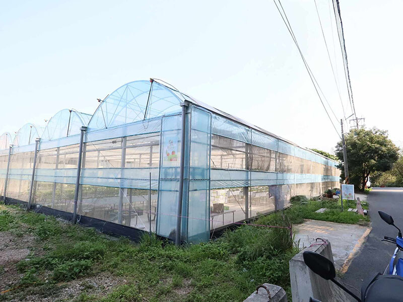 新竹寶山採草莓！菓匠農場免門票無農藥，高架種植夢幻白草莓、桃薰草莓開採。