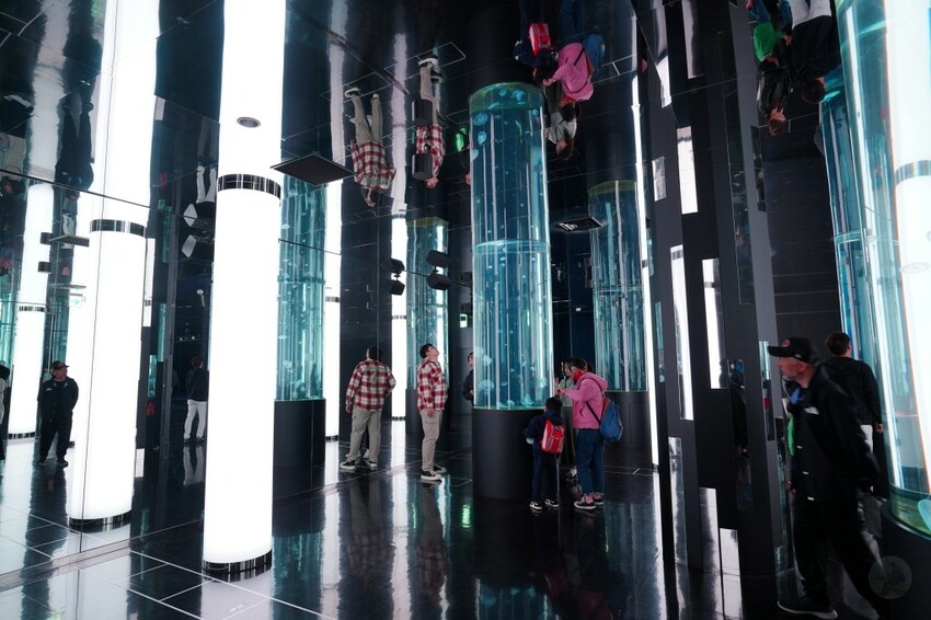 日本沖繩新型娛樂水族館、餵食預約、門票＆交通全解析｜DMM KARIYUSHI水族館完整攻略