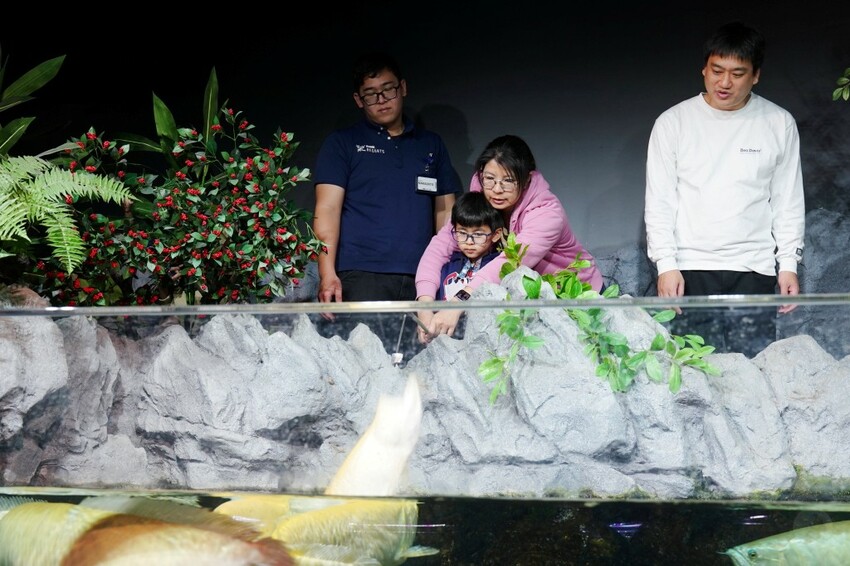 日本沖繩新型娛樂水族館、餵食預約、門票＆交通全解析｜DMM KARIYUSHI水族館完整攻略